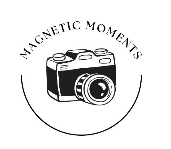 The Magnetic Moments